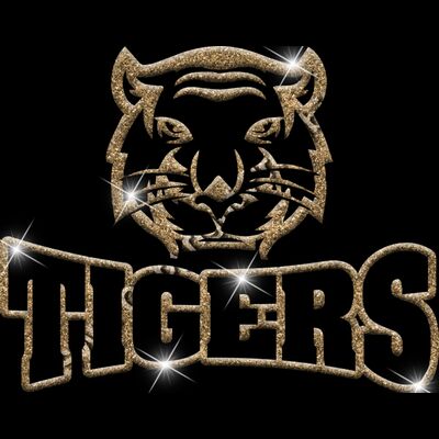 GLT32 GOLD GLITTER Thumbnail